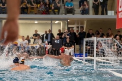 wasserball-laenderspiel-dresden-ungarn-dresden-2019_030