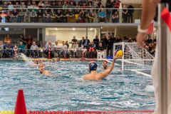 wasserball-laenderspiel-dresden-ungarn-dresden-2019_032