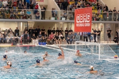 wasserball-laenderspiel-dresden-ungarn-dresden-2019_040