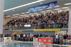 wasserball-laenderspiel-dresden-ungarn-dresden-2019_052