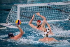 Wasserball Laenderspiel Deutschland - Ungarn