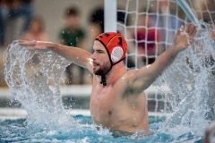 Wasserball Laenderspiel Deutschland - Ungarn