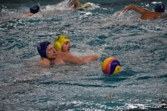 Spielszene vom Wasserball Pokalspiel Dresden gegen Erfurt