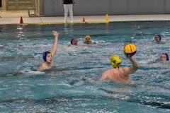 Spielszene vom Wasserball Pokalspiel Dresden gegen Erfurt