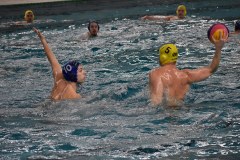 Spielszene vom Wasserball Pokalspiel Dresden gegen Erfurt