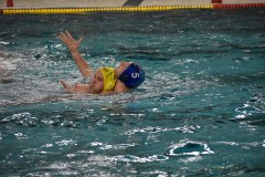 Spielszene vom Wasserball Pokalspiel Dresden gegen Erfurt