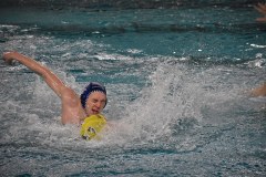 Spielszene vom Wasserball Pokalspiel Dresden gegen Erfurt