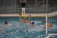 Spielszene vom Wasserball Pokalspiel Dresden gegen Erfurt