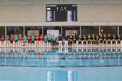 wasserball-dresden-halle-2017-11-25-01