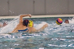 wasserball-dresden-halle-2017-11-25-04