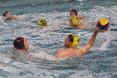 wasserball-dresden-halle-2017-11-25-05