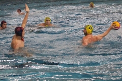 wasserball-dresden-halle-2017-11-25-06