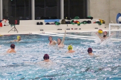 wasserball-dresden-halle-2017-11-25-12