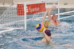 wasserball-dresden-halle-2017-11-25-13