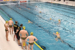 wasserball-dresden-halle-2017-11-25-15