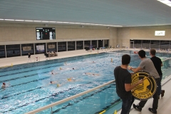 wasserball-dresden-halle-2017-11-25-16
