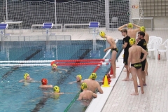 wasserball-dresden-halle-2017-11-25-17
