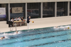 wasserball-dresden-halle-2017-11-25-18