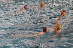 wasserball-dresden-halle-2017-11-25-19