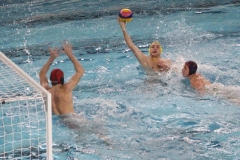 wasserball-dresden-halle-2017-11-25-23