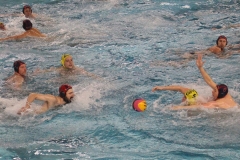wasserball-dresden-halle-2017-11-25-24