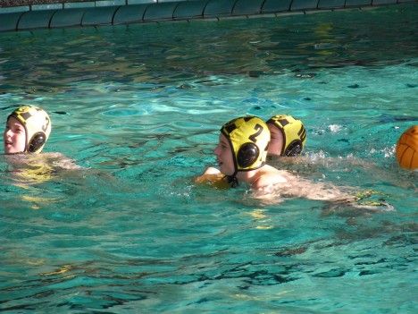 Die Dresdner Jugend Wasserballer in Zwickau, 13.10.2012