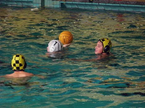 Die Dresdner Jugend Wasserballer in Zwickau, 13.10.2012