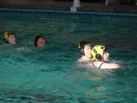 Die Dresdner Jugend Wasserballer in Zwickau, 13.10.2012