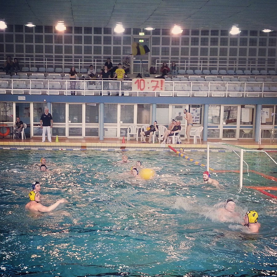 SG Wasserball Dresden gegen HSG TH Leipzig am 23.02.2014, Bild 1
