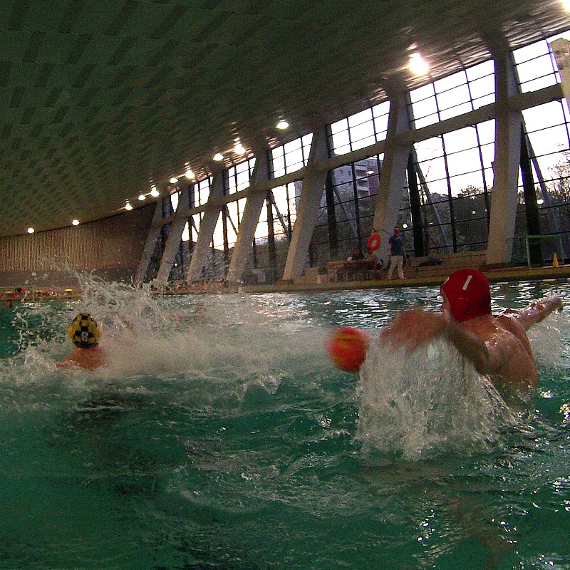 Wasserball-Spiel Dresden gegen Salzburg, Foto 2