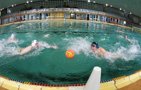 Foto vom Anschwimmen: SG Wasserball Dresden gegen SVV Plauen