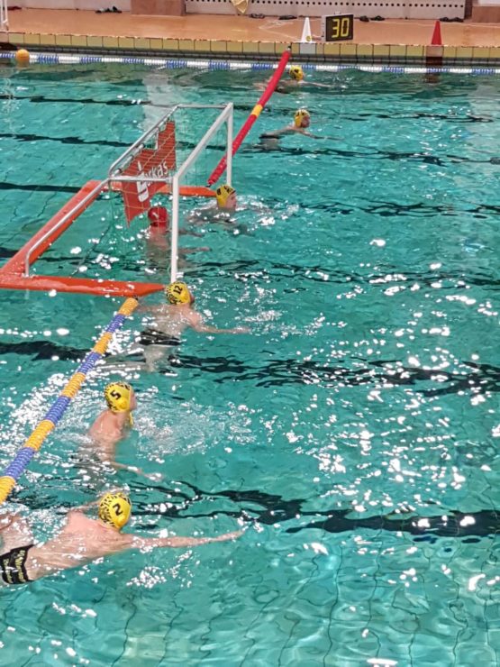 wasserball-dresden-anschwimmen