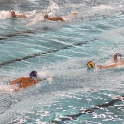 Wasserball Länderspiel Dresden 2021