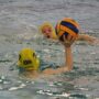 U14 Wasserball beim OWP in Zwickau