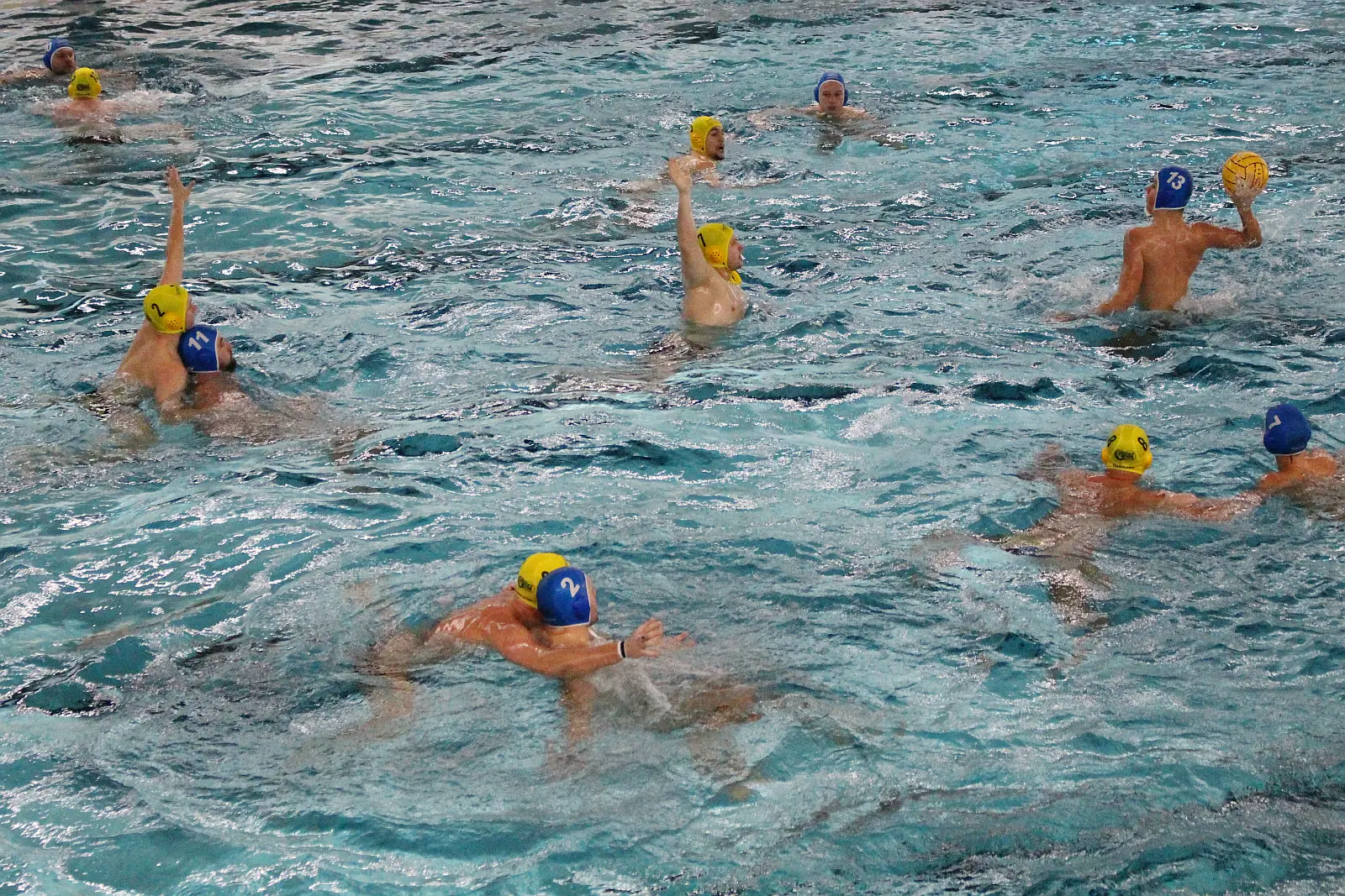 Dresdner Wasserballer beim Heimspieltag gegen Brandenburg
