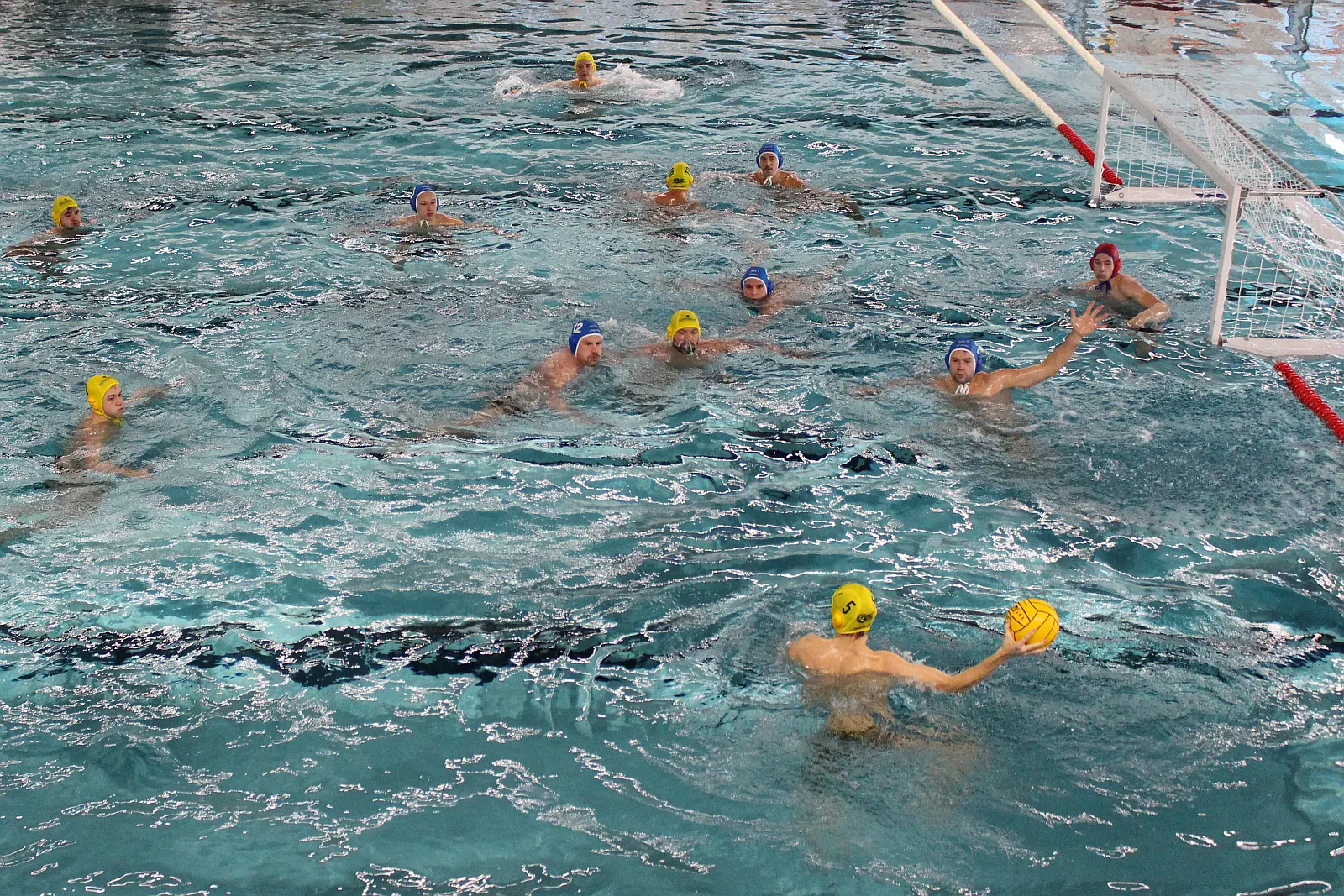 Dresdner Wasserballer beim Heimspieltag gegen Brandenburg