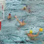 Dresdner Wasserballer beim Doppel-Heimspieltag phasenweise stark, dennoch weiter punktlos